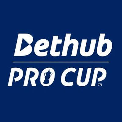 лого на Bethub Pro Cup